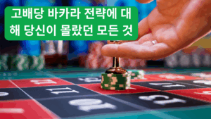 2025년에 주목해야 할 최고의 사기 검증 사이트
